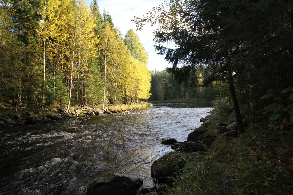 Keskikosken Lomamoekit Venajanjarvi エクステリア 写真